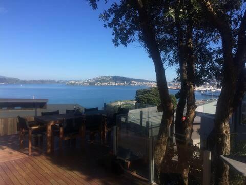 The Perfect Stop Over Wellington Exteriör bild